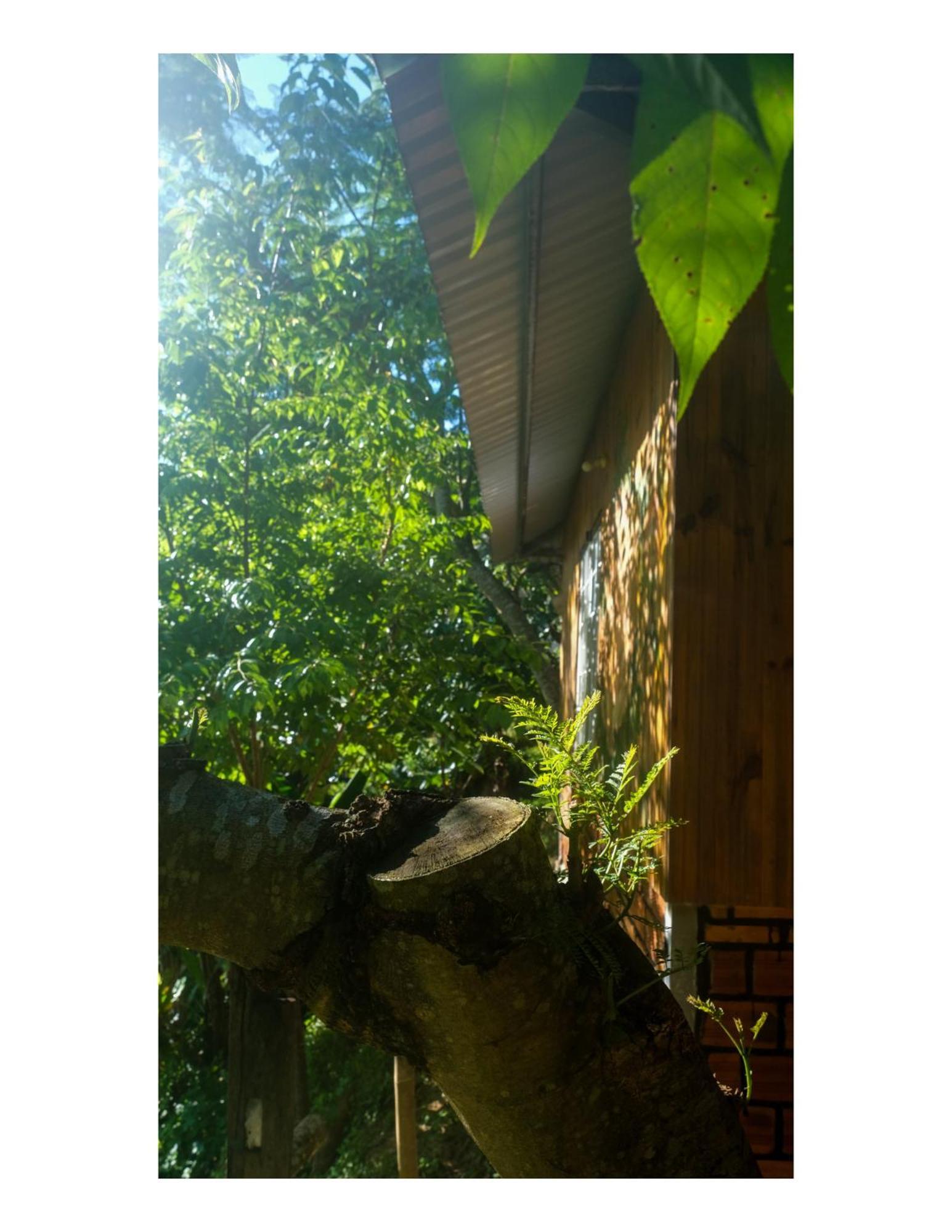 Nha Ben Ho - Da Lat Homestay Exteriör bild
