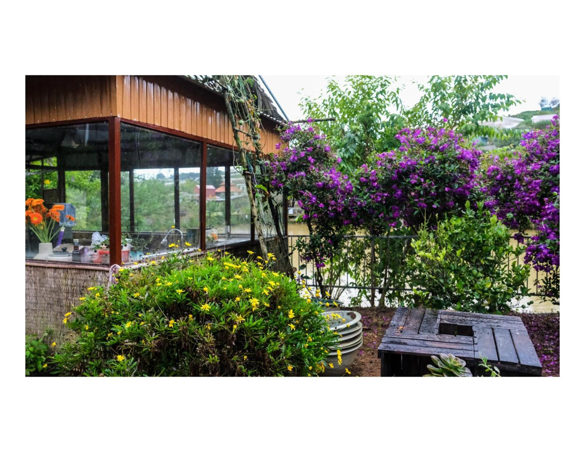 Nha Ben Ho - Da Lat Homestay Exteriör bild