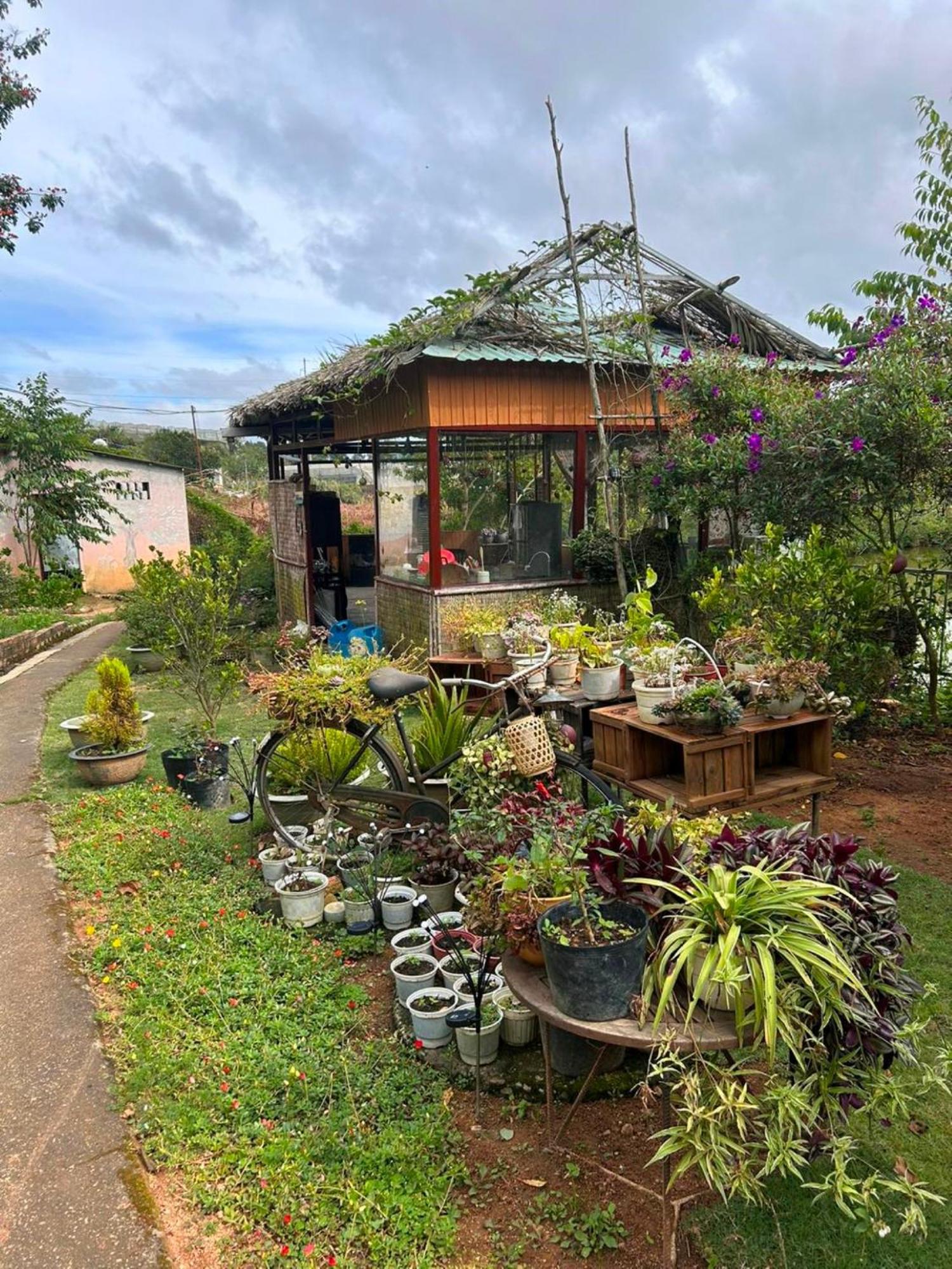 Nha Ben Ho - Da Lat Homestay Exteriör bild