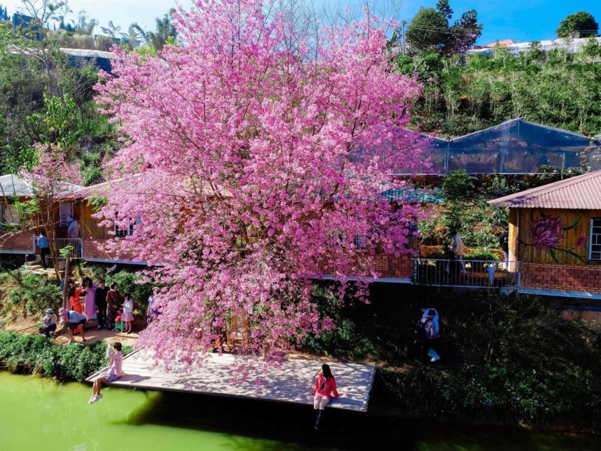 Nha Ben Ho - Da Lat Homestay Exteriör bild