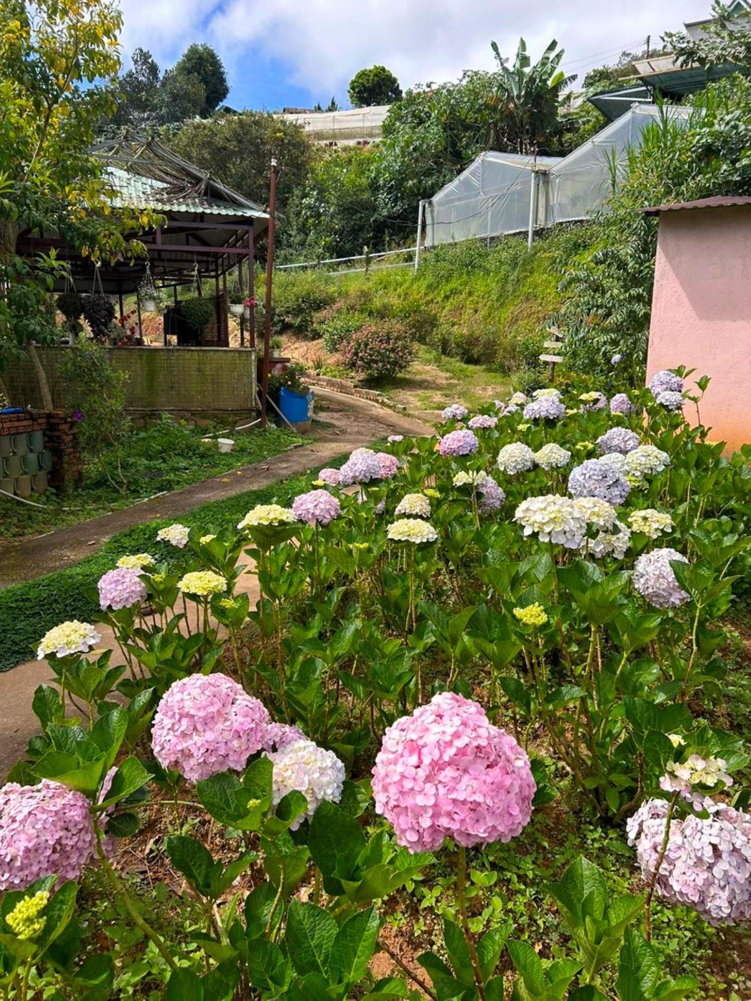 Nha Ben Ho - Da Lat Homestay Exteriör bild