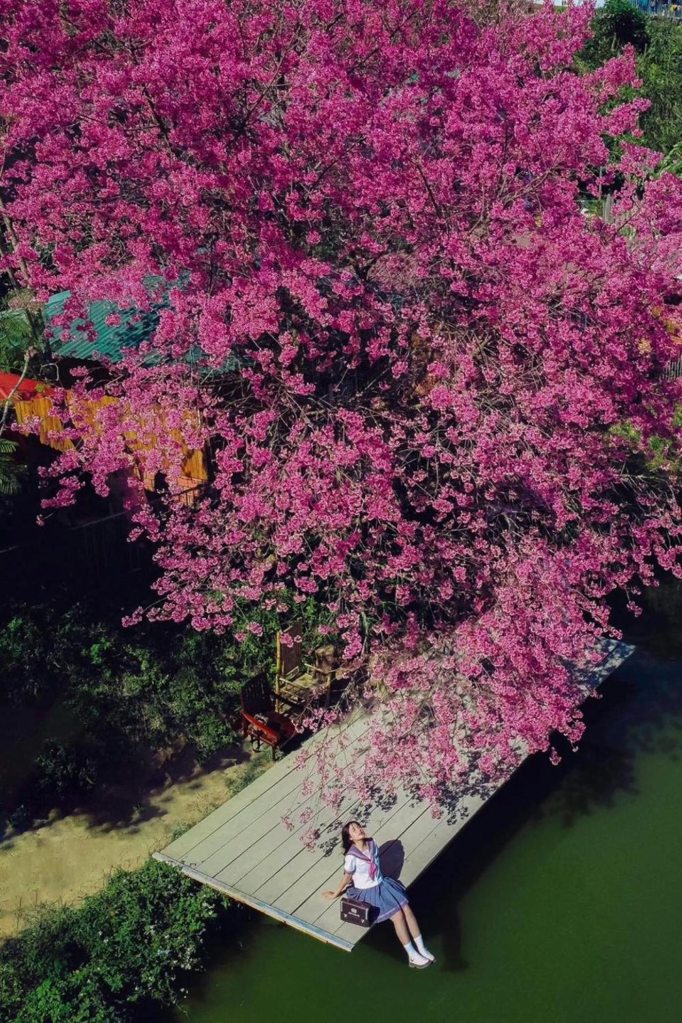 Nha Ben Ho - Da Lat Homestay Exteriör bild
