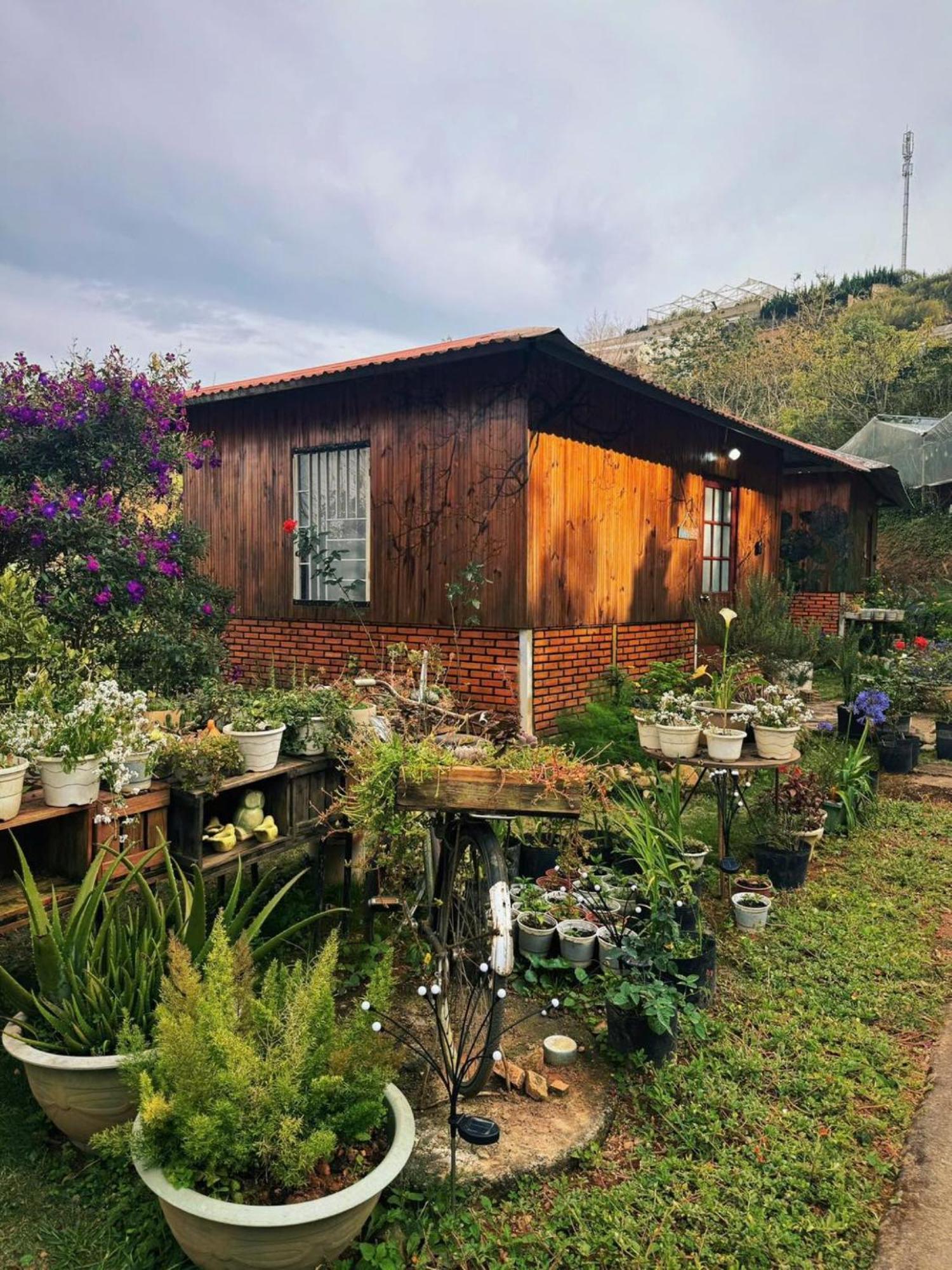 Nha Ben Ho - Da Lat Homestay Exteriör bild