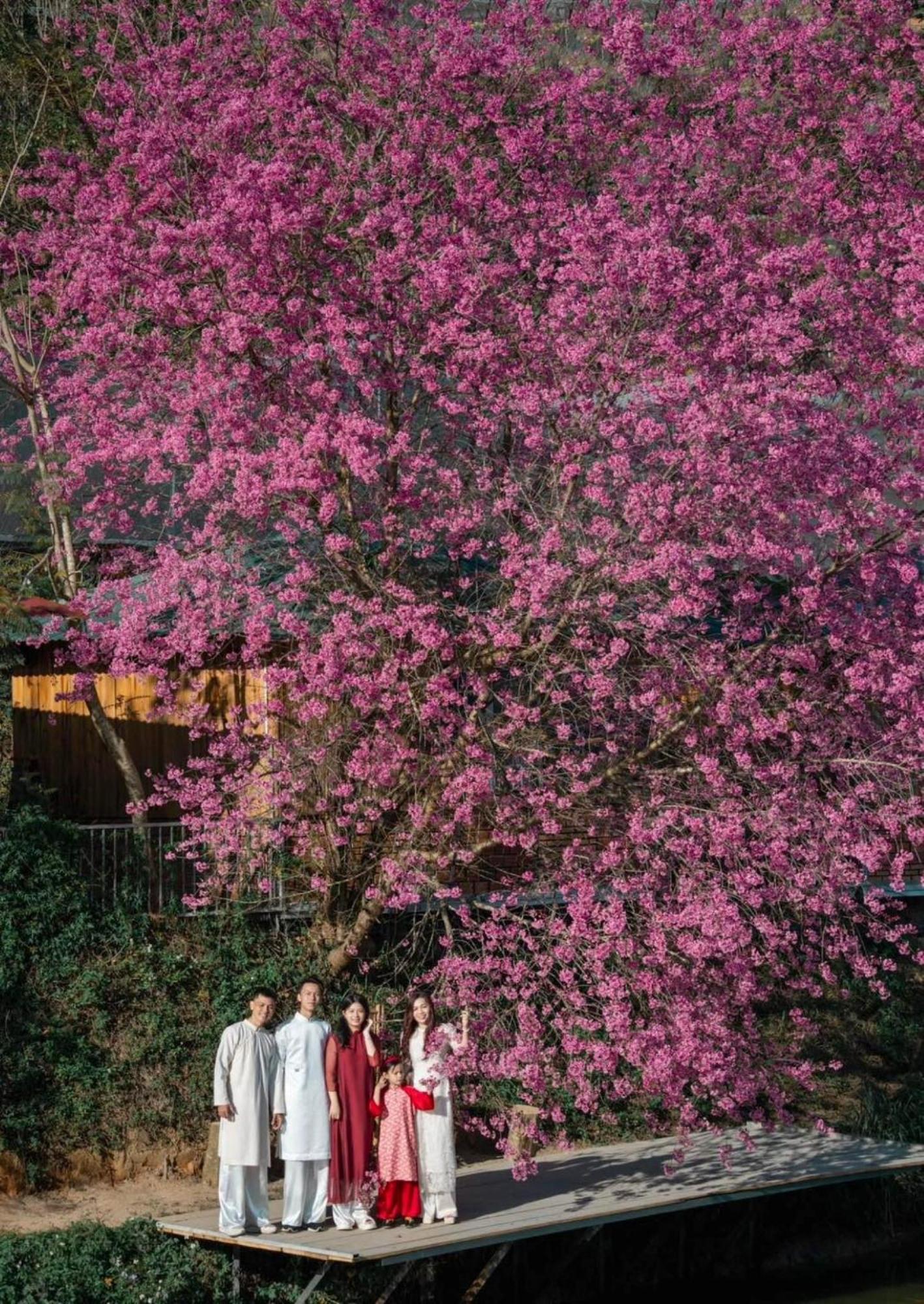 Nha Ben Ho - Da Lat Homestay Exteriör bild