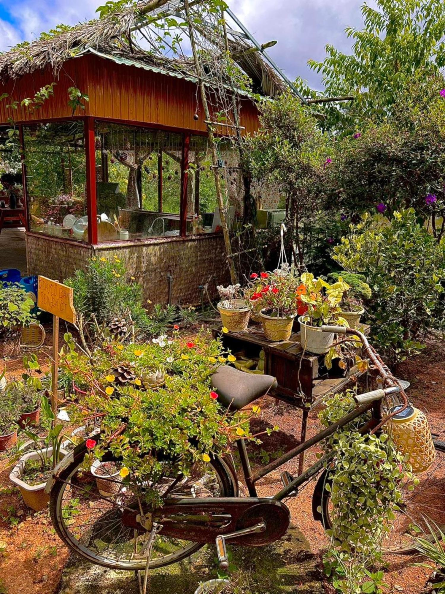 Nha Ben Ho - Da Lat Homestay Exteriör bild