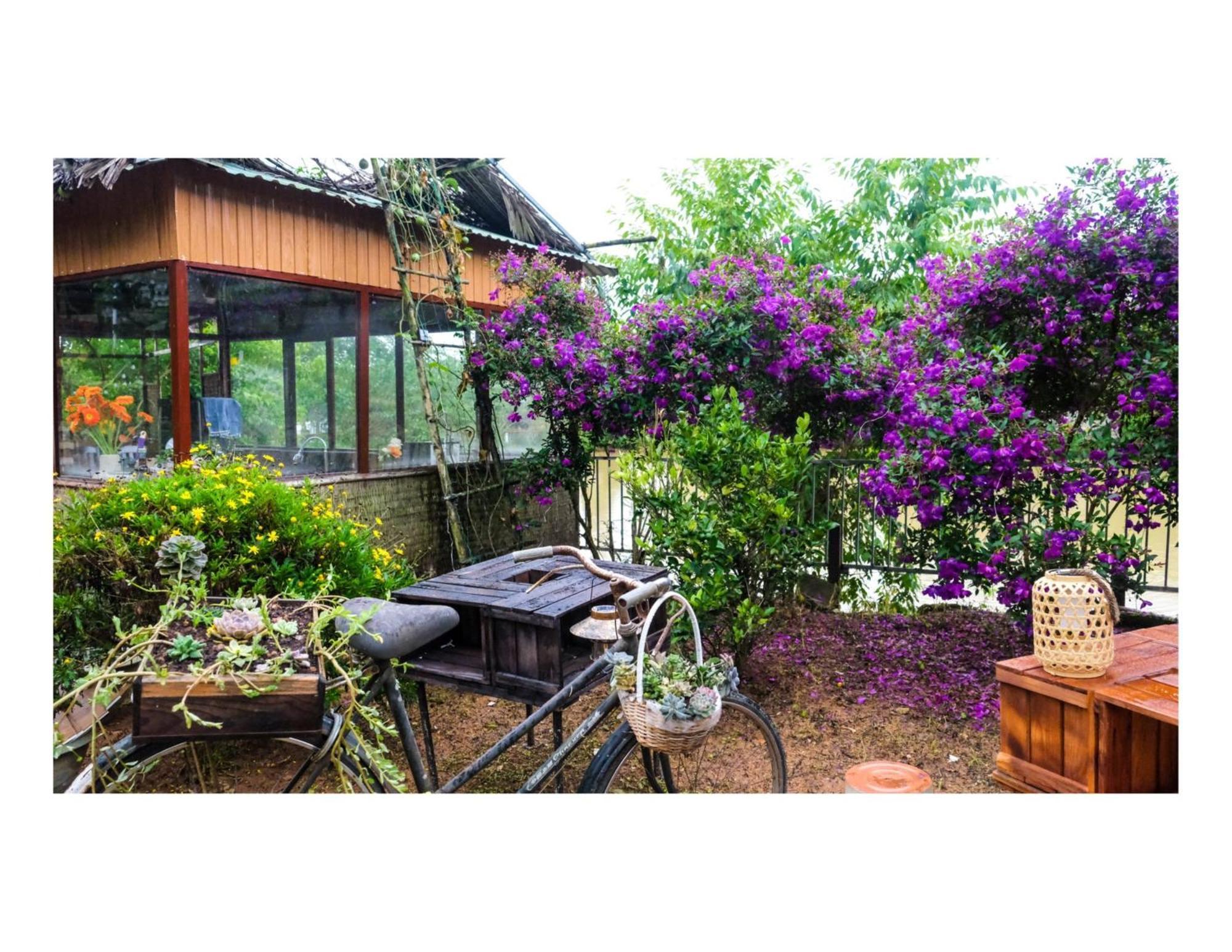 Nha Ben Ho - Da Lat Homestay Exteriör bild